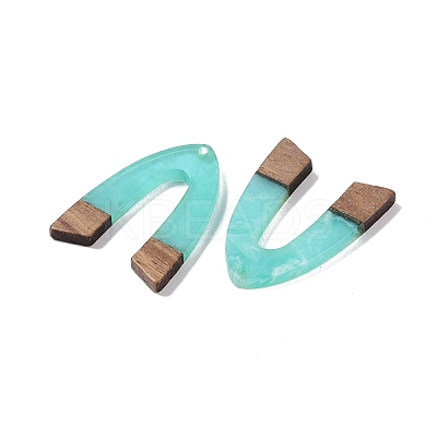 Resin & Wood Pendants LS-WOOD-F015-16D-1