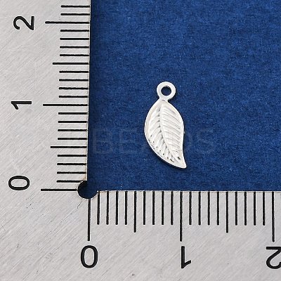 925 Sterling Silver Charms STER-D301-04S-04-1