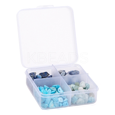 60G 4 Style Natural & Synthetic Gemstone Chip Beads G-FS0001-40-1