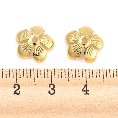 Ion Plating(IP) 304 Stainless Steel Bead Caps STAS-K194-15G-1