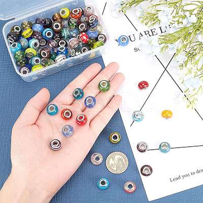 Mixed Styles Handmade Lampwork Glass European Beads LPDL-PH0001-03-WH-1