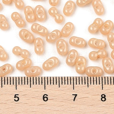 Baking Paint Glass Seed Beads SEED-L011-09A-15-1