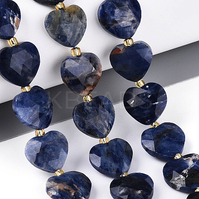 Natural Sodalite Beads Strands G-P592-B08-01-1