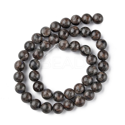 Natural Labradorite Beads Strands X-G-G0003-C03-6mm-1