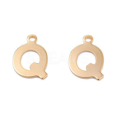 201 Stainless Steel Charms LS-STAS-C021-06G-Q-1