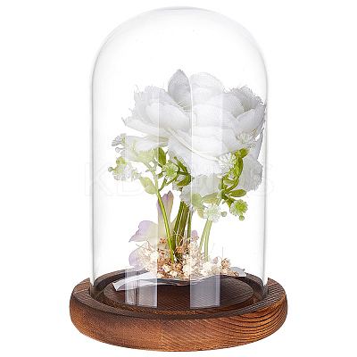 Glass Dome Cover DIY-WH0110-22-1