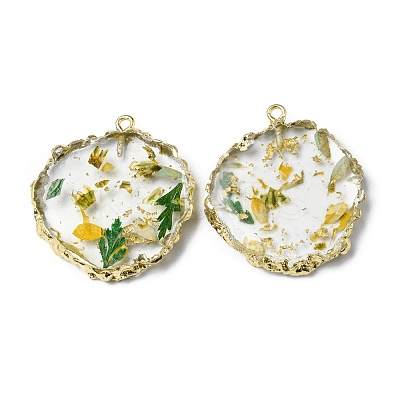 Transparent Resin Pendants RESI-D050-15LG-1