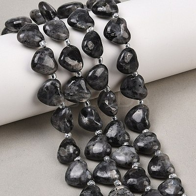 Natural Larvikite Beads Strands G-NH0069-A10-1