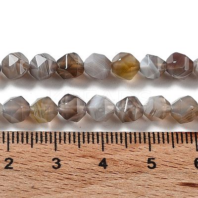 Natural Botswana Agate Beads Strands G-NH0002-C01-01-1