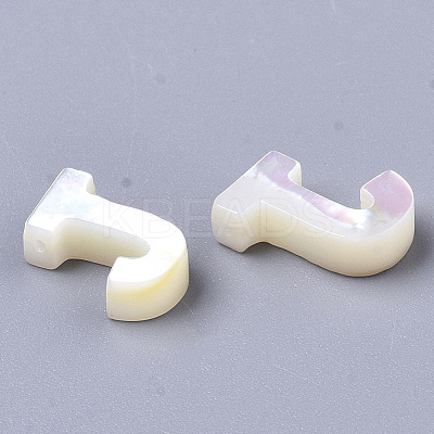 Natural Sea Shell Beads LS-X-SHEL-T012-60J-1