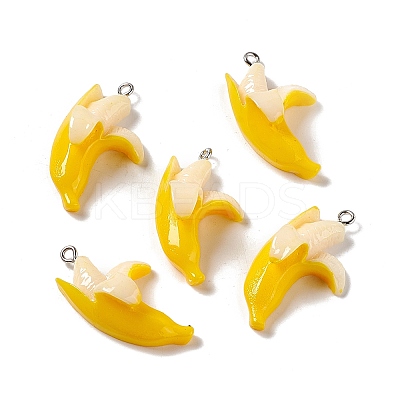 Opaque Resin Pendants LS-RESI-G040-B05-1