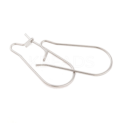 Tarnish Resistant 316 Surgical Stainless Steel Hook Earrings STAS-E009-5-1