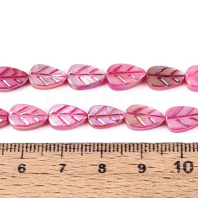 Natural Freshwater Shell Carved Beads Strands SHEL-N038-25E-1