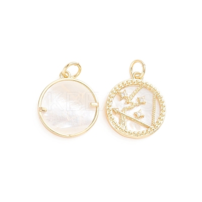 Brass Micro Pave Cubic Zirconia Pendants ZIRC-E164-36K-G-1