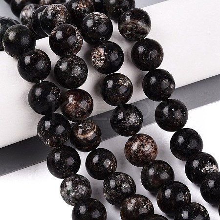 Natural Biotite Beads Strands G-Q616-01E-1
