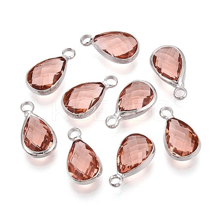 K9 Glass Charms GLAA-ZX008-12B-1