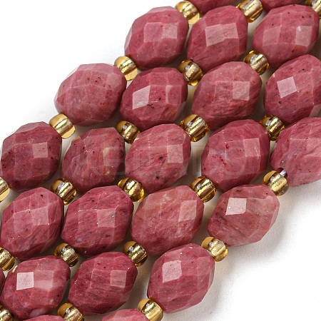 Natural Rhodonite Beads Strands G-N342-38-1