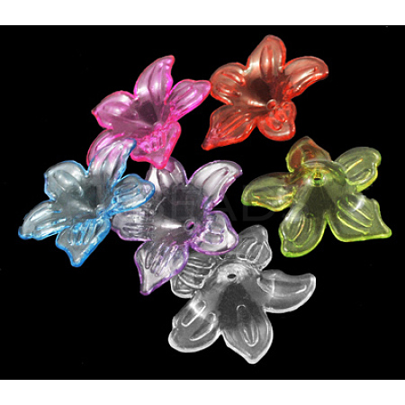 Transparent Acrylic Beads X-PL674Y-1