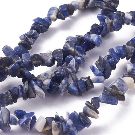 Natural Sodalite Beads Strands G-G782-31-1
