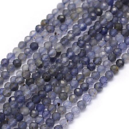 Natural Cordierite/Iolite/Dichroite Beads Strands G-E411-39-2mm-1