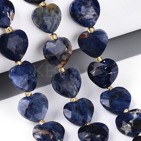 Natural Sodalite Beads Strands G-P592-B08-01-1