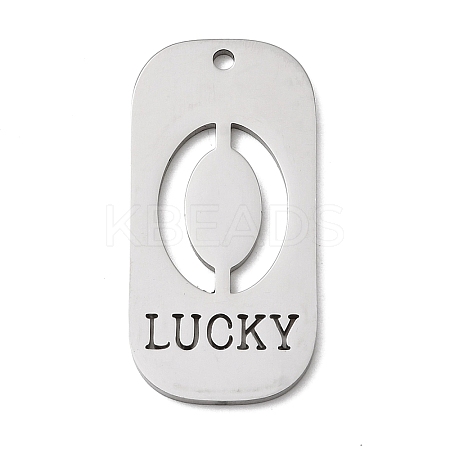 304 Stainless Steel Pendants STAS-D200-02A-P-1