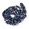 Natural Lapis Lazuli Beads Strands LS-G-F703-05B-3