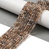 Natural Multi-Moonstone Beads Strands G-B074-A08-01-1