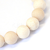 Frosted Natural Fossil Round Bead Strands G-E334-12mm-22-2