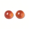Natural Red Agate Cabochons G-G994-J03-01-3