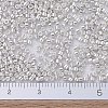 MIYUKI Delica Beads SEED-X0054-DB0551-4