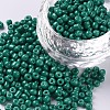 Baking Paint Glass Seed Beads SEED-S002-K26-1