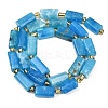 Natural Apatite Beads Strands G-D353-A23-3