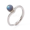 Natural Labradorite Adjustable Rings RJEW-G273-11P-01-4