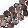 Freshwater Shell Beads Strands SHEL-T014-011-2