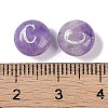 Natural Amethyst Beads G-L524-20C-03-3