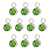 10Pcs Glass Rhinestone Charms STAS-TA0003-26J-1