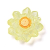 Luminous Transparent Resin Decoden Cabochons LS-CRES-F032-B04-1