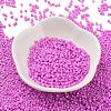 Baking Paint Glass Seed Beads X-SEED-S042-05B-90-2