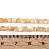 Natural Trochid Shell/Trochus Shell Beads Strands SSHEL-N041-04B-02-4