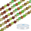 DIY Natural Regalite/Imperial Jasper/Sea Sediment Jasper Beads Bracelets  Making KIts DIY-TA0002-69D-3