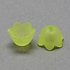 Transparent Acrylic Beads LS-X-FACR-R017-07-1