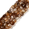 Natural Banded Agate(Dyed & Heated) Beads Strands G-C179-A6mm-20-2