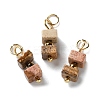 Natural Picture Jasper Cuboid Beaded Pendants STAS-C120-02G-04-1