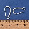 Long-Lasting Plated Brass Ear Wire KK-K381-07S-3