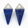 Natural Lapis Lazuli Pendants KK-E757-D-14P-1