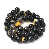 Faceted Natural Fire Crackle Agate Beads Strands G-F447-10mm-A09-4