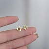 Alloy Earrings for Women FS-WG98937-59-1