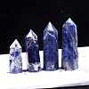 Point Tower Natural Sodalite Home Display Decoration PW-WG54681-02-1