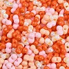 Glass Seed Beads SEED-K010-03N-2